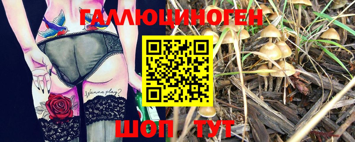 Галлюциногенные грибы прущие грибы  Вход с VPN  Майкоп 